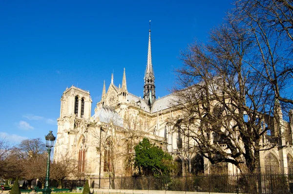 Notre dame church — Stock fotografie