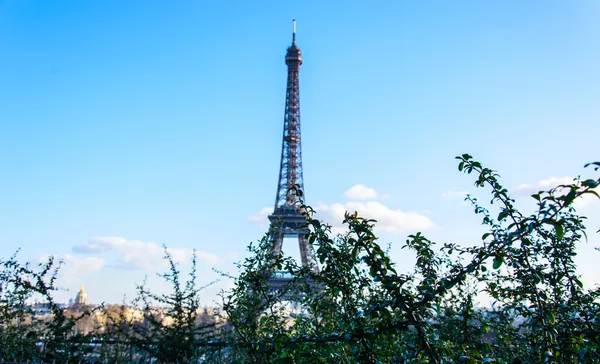 Eiffel torony Párizsban — Stock Fotó