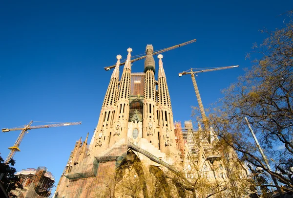 Sagrada Familia — Photo