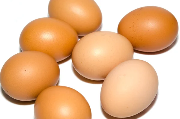 Eggs isolated — Stock Photo, Image