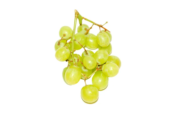 Uvas —  Fotos de Stock