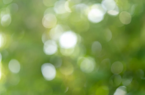 Verde Bokeh — Fotografia de Stock