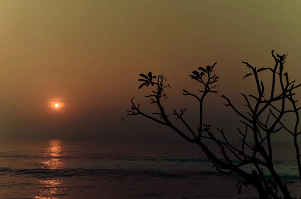 Pôr-do-sol — Fotografia de Stock