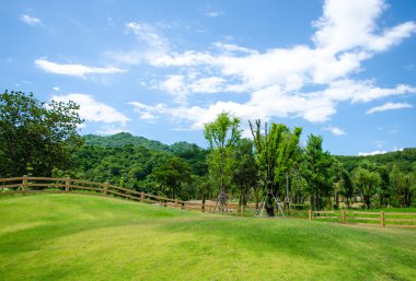 Çimen ve Gökyüzü