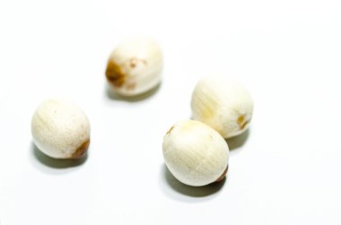 Yeşil lotus tohumları