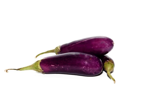 Lilla aubergine – stockfoto