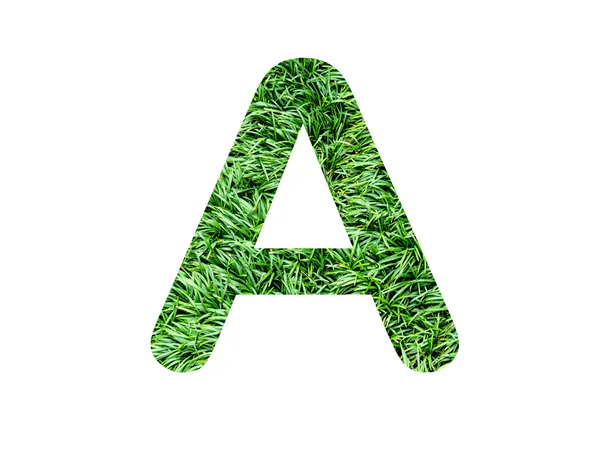 Font grass — Stock Photo, Image