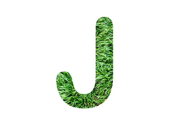 Font grass — Stock Photo, Image