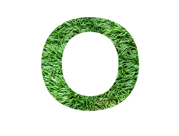 Font grass — Stock Photo, Image