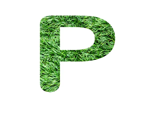 Teckensnitt gräs — Stockfoto