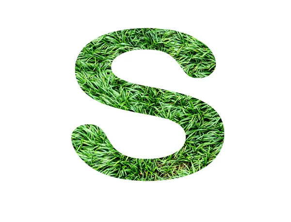 글꼴 잔디 — 스톡 사진