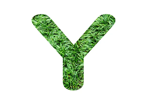 Font grass — Stock Photo, Image