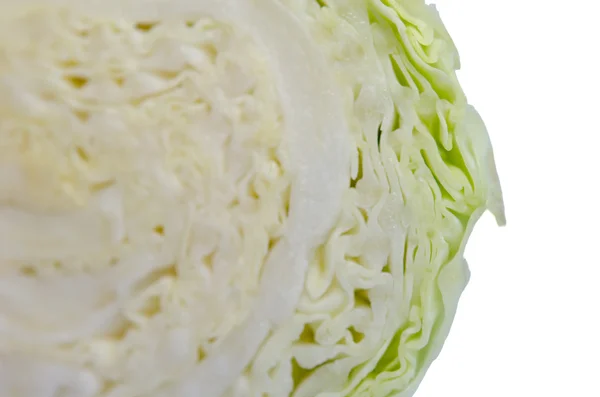 Cabbage — Stock Photo, Image