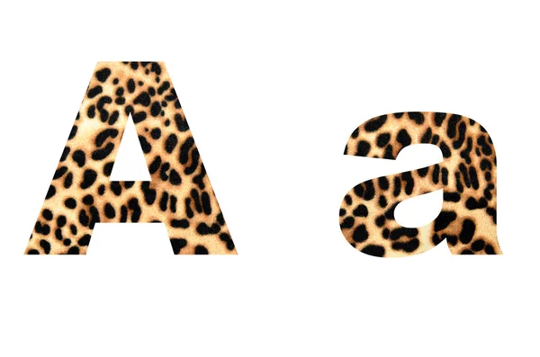 Lettertype Tiger — Stockfoto