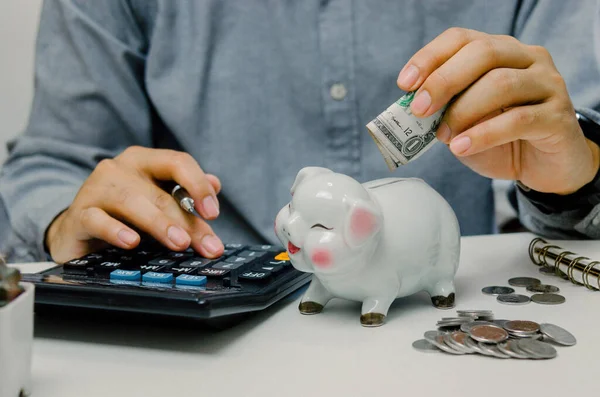 Hand Man Person Holding Dollar Calculator Saving Pig Bank Business — Stockfoto