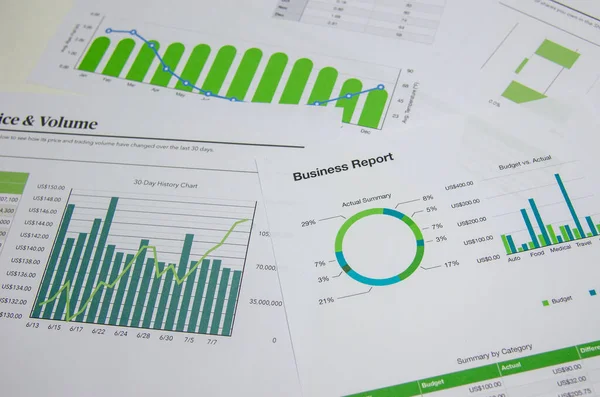 Business Document Chart Report Financial Graph Statistic Analysis Management Information — Fotografia de Stock