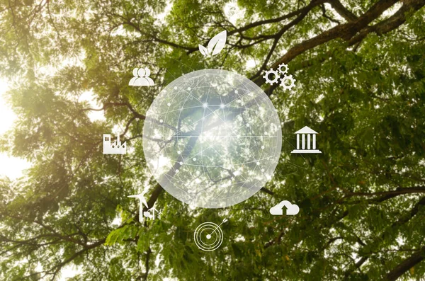 Global symbol eco Sustainable business on network connection on green tree background environmental icon ESG and net zero concept.