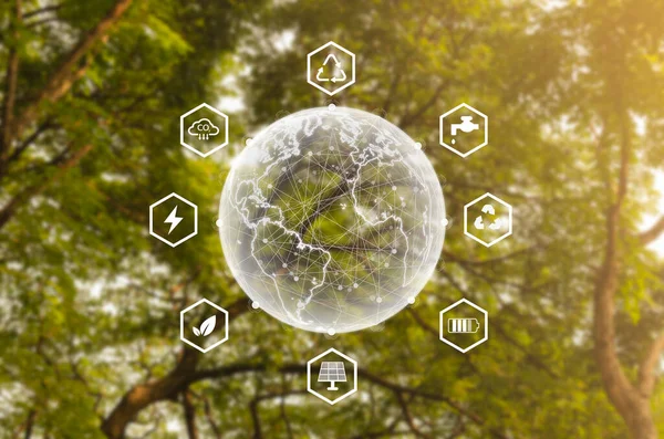 Global Symbol Eco Sustainable Business Network Connection Green Tree Background — Stockfoto