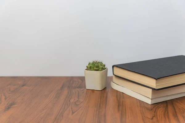 Stack Böcker Och Kaktus Växt Träbord — Stockfoto