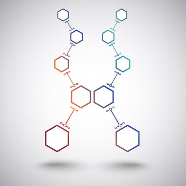 beş hücre geçişin iki dalı