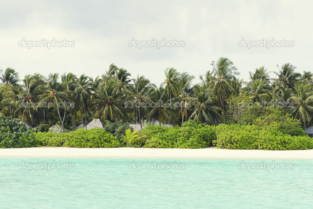 tropical island paradise beach