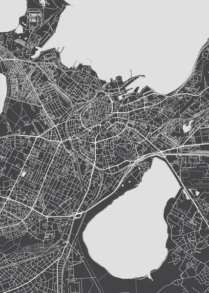 Mapa Ciudad Tallin Plano Detallado Monocromo Ilustración Vectorial — Vector de stock