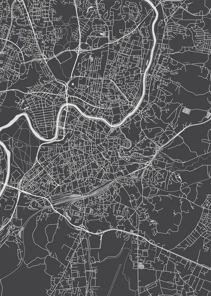 Mapa Ciudad Vilna Plano Detallado Monocromo Ilustración Vectorial — Archivo Imágenes Vectoriales