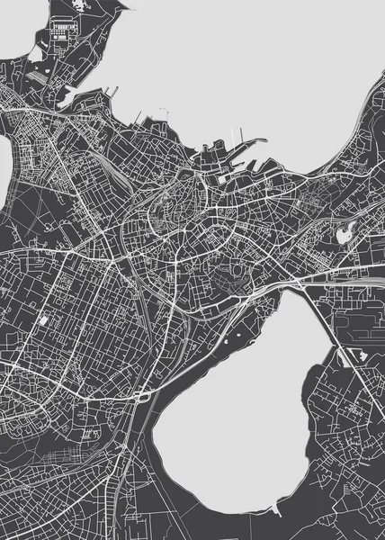 Mappa Della Città Tallinn Pianta Dettagliata Monocromatica Illustrazione Vettoriale Illustrazione Stock