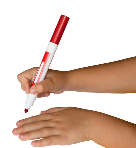 Barnens händer som håller en röd filtpenna på vit bakgrund Stockfoto