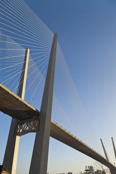 Puente colgante —  Fotos de Stock