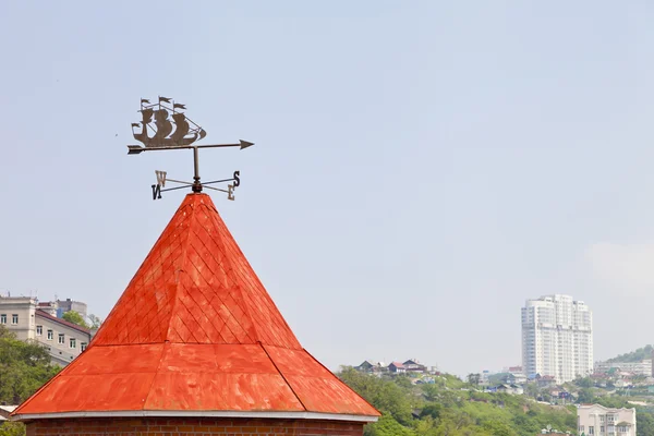 Вейн на крыше — стоковое фото