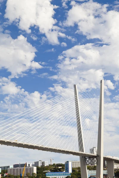 Jembatan suspensi besar — Stok Foto