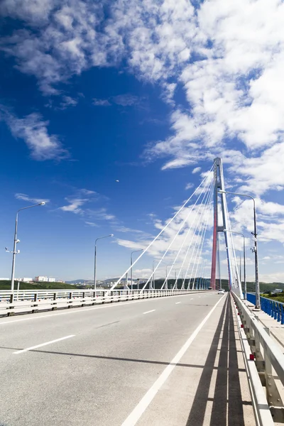 Puente colgante grande —  Fotos de Stock