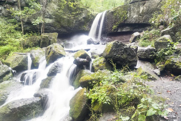 Falls in the wood — Stock Photo, Image