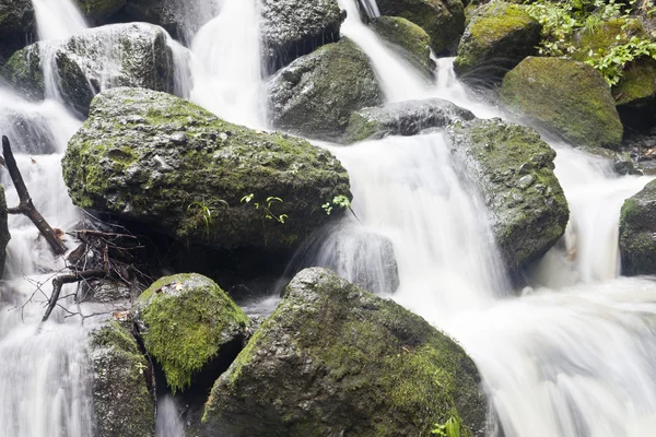 Falls in the wood — Stock Photo, Image