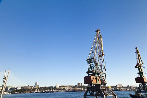 Cranes in port — Stock Photo, Image