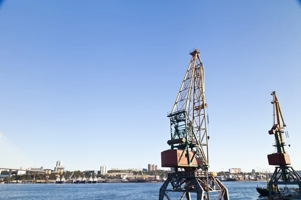 Grues Dans le port — Photo