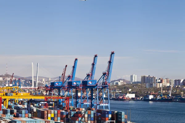 Cranes in port — Stock Photo, Image