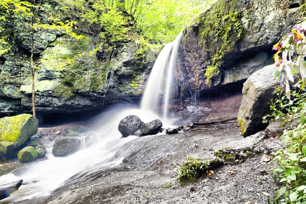 Falls in the wood — Stock Photo, Image