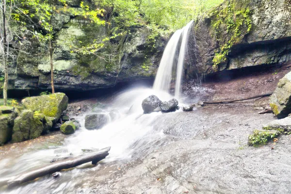 Falls in the wood — Stock Photo, Image