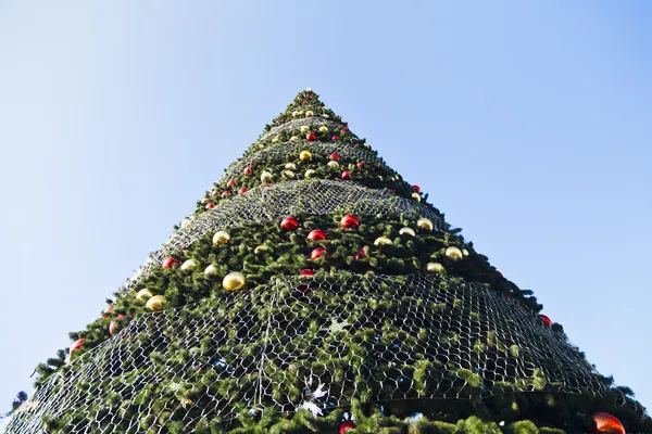 Sphères sur un sapin — Photo