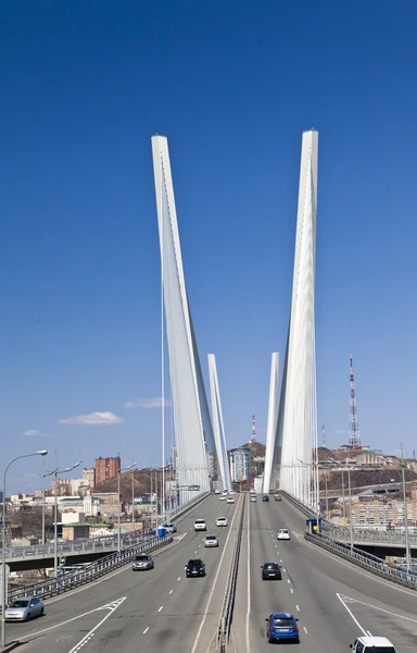 Puente colgante grande — Foto de Stock