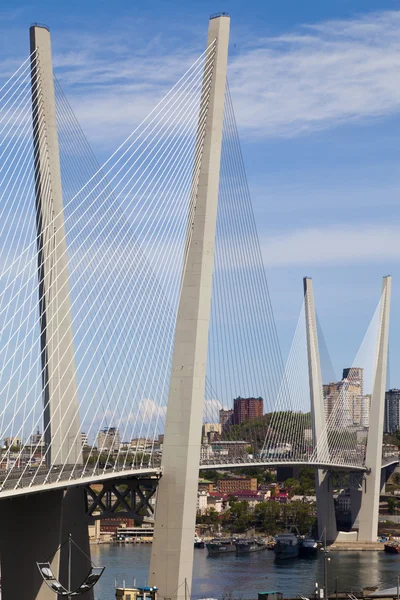 Grande ponte de suspensão — Fotografia de Stock