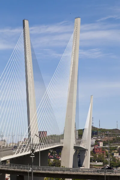 Grande ponte sospeso — Foto Stock