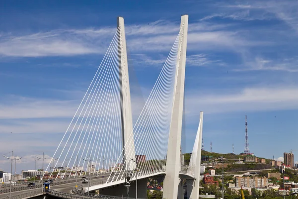 Puente colgante grande —  Fotos de Stock