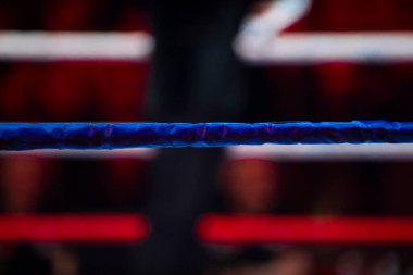 Boks, Muay Thai ve spot ışıklarıyla kickboks ringleri. Dikey spor temalı poster, tebrik kartları, başlıklar, web sitesi ve uygulama. Profesyonel spor konsepti.