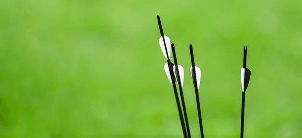 Flechas Tiro Con Arco Sobre Fondo Verde Concepto Deportivo Profesional —  Fotos de Stock