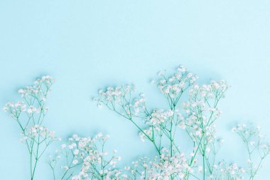 Pastel mavi arka planda beyaz çigila çiçekleri. Yatay tatil temalı poster, tebrik kartları, başlıklar, web sitesi ve uygulama