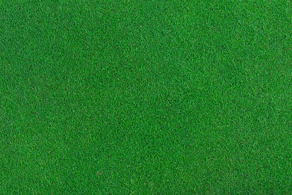 Натуральний Зелений Фон Трави Горизонтальний Креативний Плакат Теми Вітальні Листівки — стокове фото
