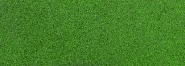 Natuurlijk Groen Gras Achtergrond Horizontale Creatieve Thema Poster Wenskaarten Headers — Stockfoto